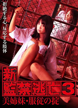 新監(jiān)禁逃亡3：美姐妹服從守則
