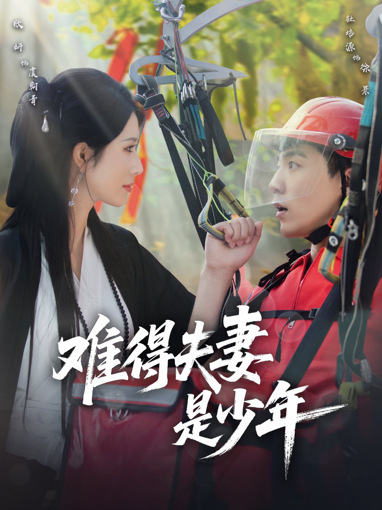 難得夫妻是少年(全集)