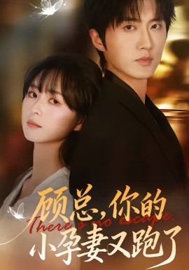 顧總，你的小孕妻又跑了(全集)