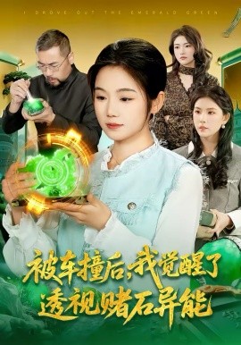 被車撞后，我覺醒了透視賭石異能了(全集)
